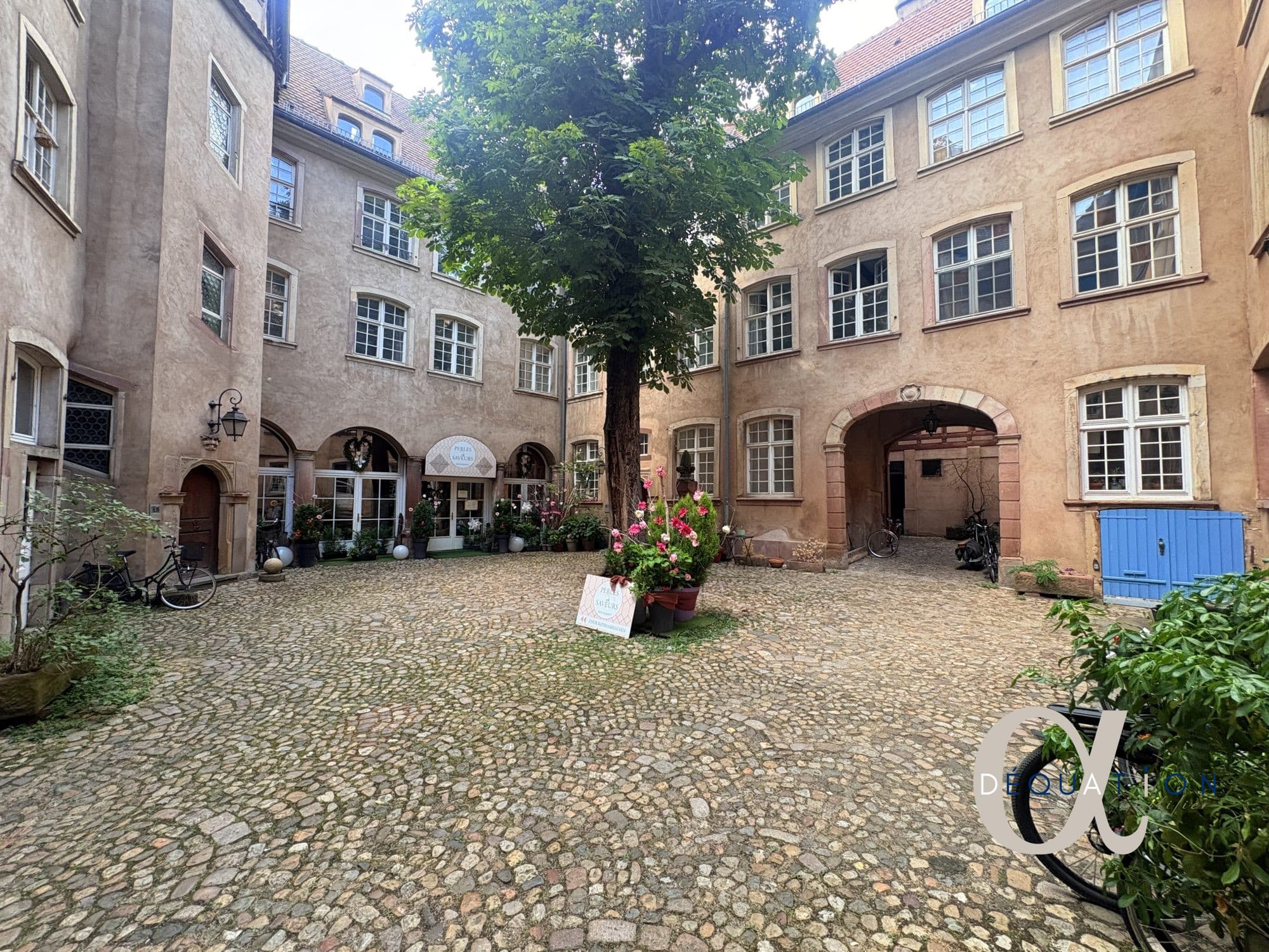Appartement refait à neuf - Belles prestations - Petite France