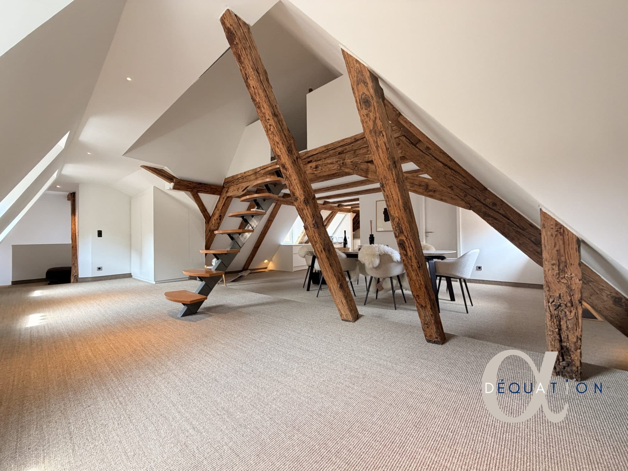 Appartement refait à neuf - Belles prestations - Petite France
